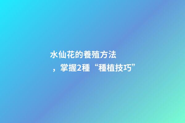 水仙花的養殖方法，掌握2種“種植技巧”-第1張-觀點-玄機派